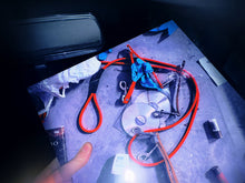 Load image into Gallery viewer, Pantis – Memoria Nova