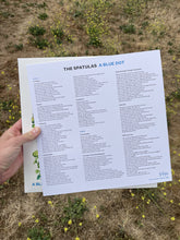 Load image into Gallery viewer, The Spatulas – A Blue Dot