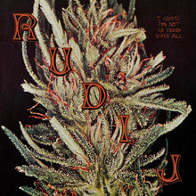 Load image into Gallery viewer, Rudi J – I Guess I'm Not In Tune After All