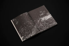 Load image into Gallery viewer, Ana Gallardo. Tembló acá un delirio. Violeta Janeiro, Alfredo Aracil (eds.) - ElMuelle1931