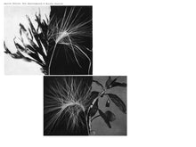 Load image into Gallery viewer, Andrew Pekler - New Environments & Rhythm Studies - ElMuelle1931