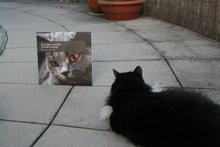 Load image into Gallery viewer, Annelies Monseré & Richard Youngs - Three:four Split Series Volume 3 - ElMuelle1931