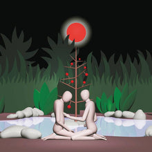 Load image into Gallery viewer, Anthony Pateras - Reise der Schatten - ElMuelle1931