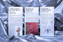 Load image into Gallery viewer, Atlas Menor #2: Cuerpos posthumanos - ElMuelle1931