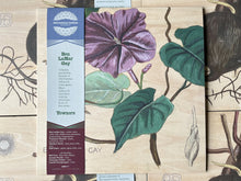 Load image into Gallery viewer, Ben LaMar Gay - Yowzers - ElMuelle1931