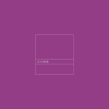 Load image into Gallery viewer, CHBB - CHBB - ElMuelle1931