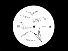 Load image into Gallery viewer, Ciro Vitiello – notes from the air - ElMuelle1931