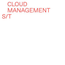 Load image into Gallery viewer, Cloud Management - s/t - ElMuelle1931