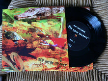 Load image into Gallery viewer, Dan Melchior - Red Nylon Valance - ElMuelle1931