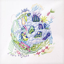 Load image into Gallery viewer, David Edren - Binnenin - ElMuelle1931