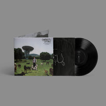 Load image into Gallery viewer, Depresión Sonora - Los Perros No Entienden Internet (... Y Yo No Entiendo De Sentimientos) - ElMuelle1931