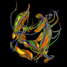 Load image into Gallery viewer, DJ Nobu – Shō - ElMuelle1931