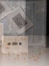 Load image into Gallery viewer, Édition d’Art – Déploiement de L’immuable - ElMuelle1931