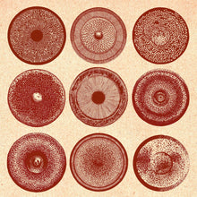 Load image into Gallery viewer, Ensemble Nist - Nah – Spilla - ElMuelle1931