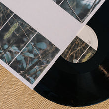 Load image into Gallery viewer, Felbm - Winterspring/Summerfall - ElMuelle1931