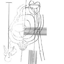 Load image into Gallery viewer, Gastr Del Sol - Camoufleur - ElMuelle1931