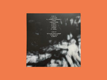 Load image into Gallery viewer, Jaroslav Kořán - Zahrada - ElMuelle1931