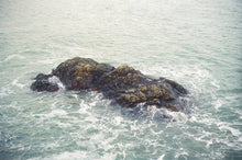 Load image into Gallery viewer, JC Leisure Group – Low Tide, Hi Grypus! - ElMuelle1931