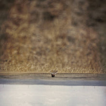 Load image into Gallery viewer, Jim O'Rourke - Hands That Bind - ElMuelle1931