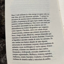 Load image into Gallery viewer, MAR, MEDIO Y MEDIUM - Cristian Toro - ElMuelle1931