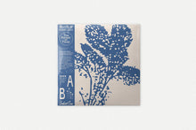 Load image into Gallery viewer, Masahiro Sugaya - The Pocket Of Fever - ElMuelle1931