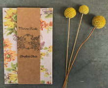 Load image into Gallery viewer, Maxine Funke – Timeless Town - ElMuelle1931