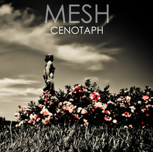 Load image into Gallery viewer, Mesh - Cenotaph - ElMuelle1931