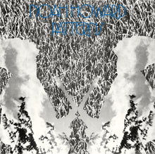 Load image into Gallery viewer, Noah Howard - Patterns - ElMuelle1931