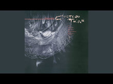 Load and play video in Gallery viewer, Cocteau Twins - Treasure