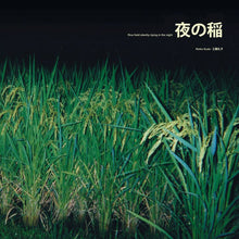 Load image into Gallery viewer, Reiko Kudo 夜の稲 = Rice Field Silently Riping In The Night - ElMuelle1931