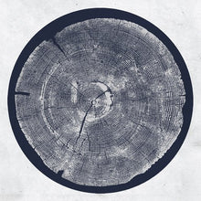 Load image into Gallery viewer, Roy Montgomery - R: Tropic of Anodyne - ElMuelle1931