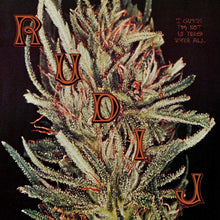 Load image into Gallery viewer, Rudi J – I Guess I'm Not In Tune After All - ElMuelle1931