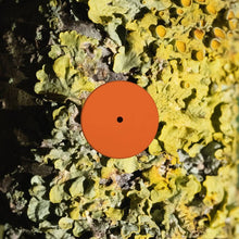 Load image into Gallery viewer, Sa Pa - The Fool - ElMuelle1931