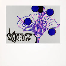 Load image into Gallery viewer, SQ Mice – SQ Mice - ElMuelle1931