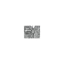 Load image into Gallery viewer, Still House Plants – Still House Plants - ElMuelle1931