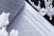 Load image into Gallery viewer, Teatro della Terra Alienata: reimaginando el destino de la Gran Barrera de Coral - ElMuelle1931