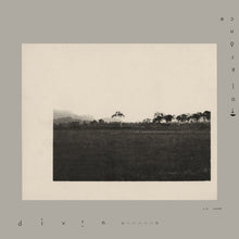 Load image into Gallery viewer, Tolerance - Divin - ElMuelle1931