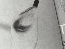 Load image into Gallery viewer, Tortoise - Touch - ElMuelle1931