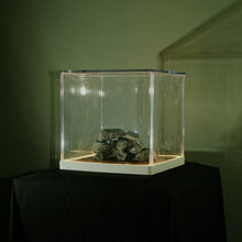 Load image into Gallery viewer, Trá Pháidín – Cloch's Claí - ElMuelle1931