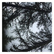 Load image into Gallery viewer, Various - Dunstkreis - ElMuelle1931