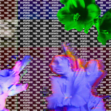 Load image into Gallery viewer, Various - Weaponise Your Sound - ElMuelle1931