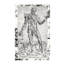 Load image into Gallery viewer, Venediktos Tempelboom – Huys Opnamen - ElMuelle1931