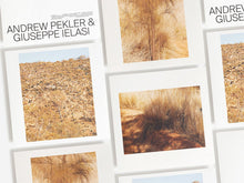 Load image into Gallery viewer, Andrew Pekler, Giuseppe Ielasi - Palimpsests - ElMuelle1931