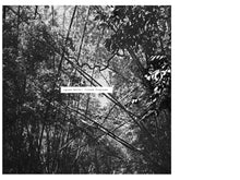 Load image into Gallery viewer, Andrew Pekler - Tristes Tropiques - ElMuelle1931