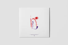 Load image into Gallery viewer, Anenon - Moons Melt Milk Light - ElMuelle1931