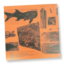 Load image into Gallery viewer, Annelies Monseré - Mares - ElMuelle1931