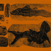 Load image into Gallery viewer, Annelies Monseré - Mares - ElMuelle1931