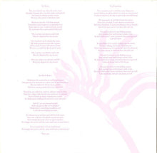 Load image into Gallery viewer, Carla dal Forno - Look Up Sharp - ElMuelle1931