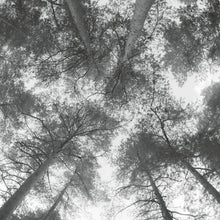 Load image into Gallery viewer, Cassandra Miller - Traveller Song / Thanksong - ElMuelle1931