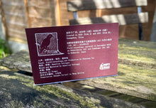 Load image into Gallery viewer, Chunyang Yao 姚春旸 - Post-Oblivion 泯默集 - ElMuelle1931